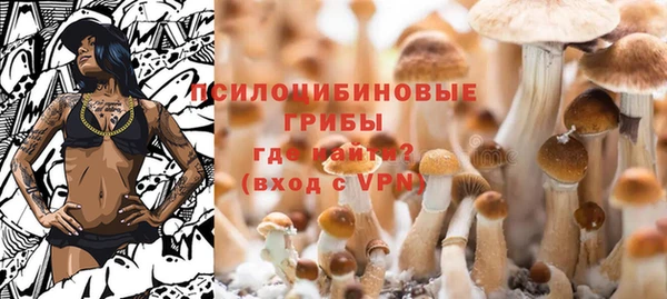 твердый Заводоуковск