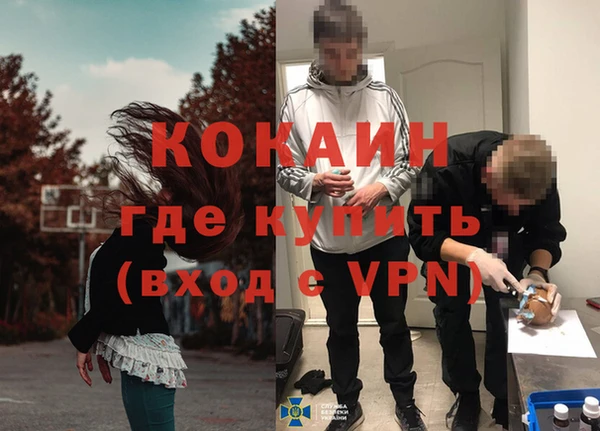 твердый Заводоуковск