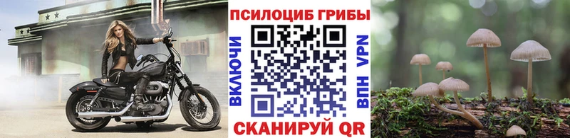 Псилоцибиновые грибы Magic Shrooms Макушино